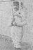 Lou Sylvester